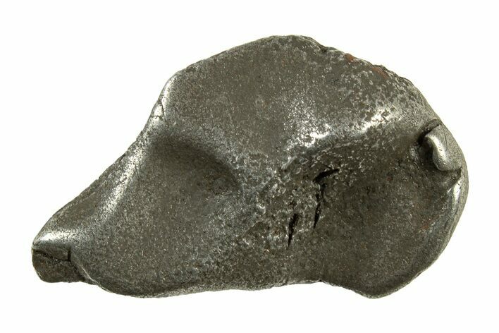 Fusion Crusted Sikhote-Alin Iron Meteorite ( grams) - Russia #243177